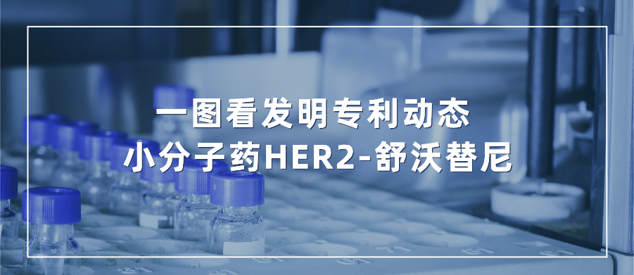 一圖看發(fā)明專利動態(tài)｜新藥研發(fā)領(lǐng)域——小分子藥HER2-舒沃替尼